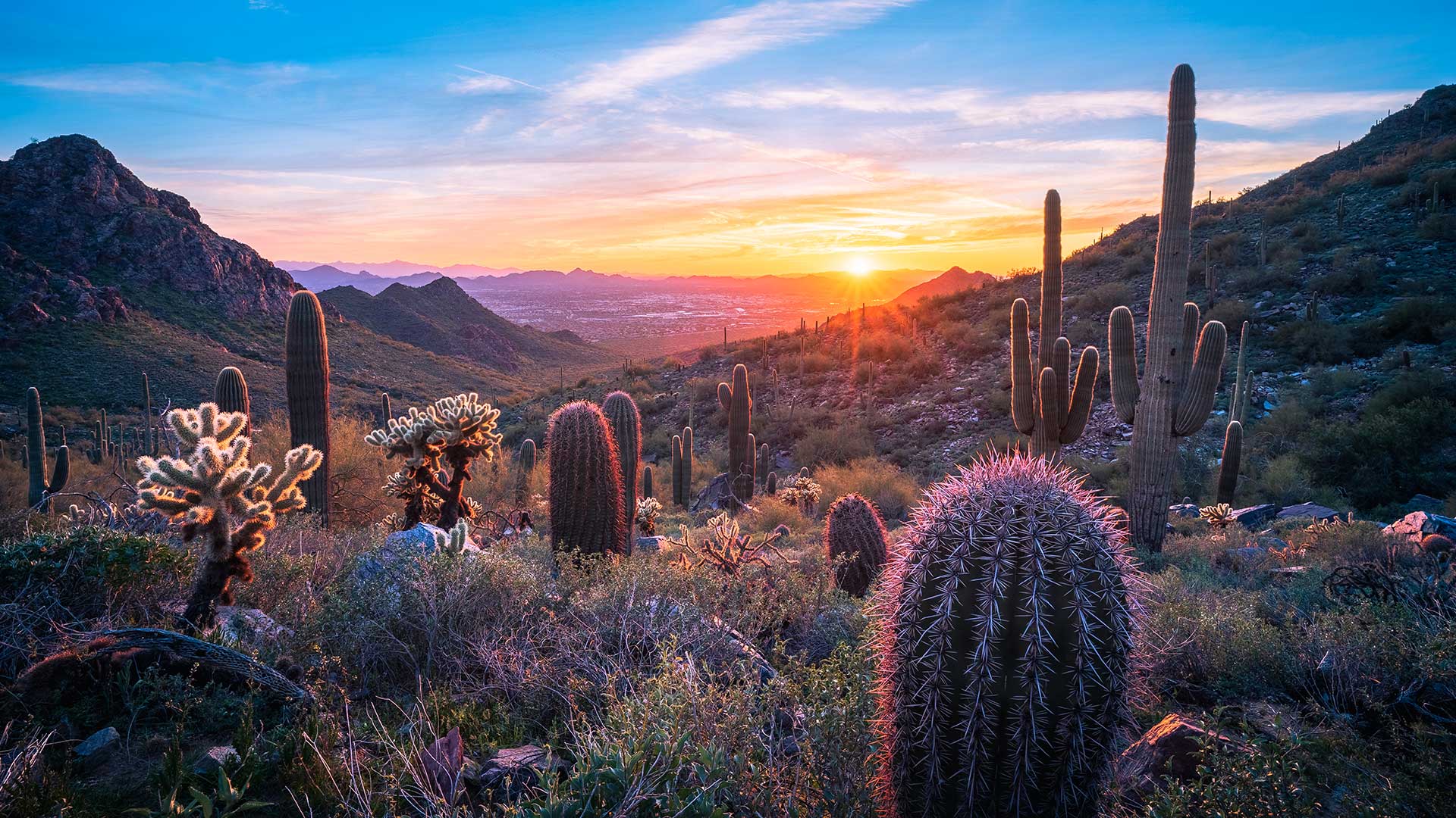 Sunset over a desert landscape with scattered cacti including tall saguaro and rounded barrel cacti, foreground illuminated, mountains and colorful sky in the background.